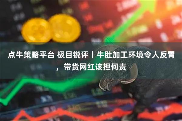 点牛策略平台 极目锐评丨牛肚加工环境令人反胃，带货网红该担何责