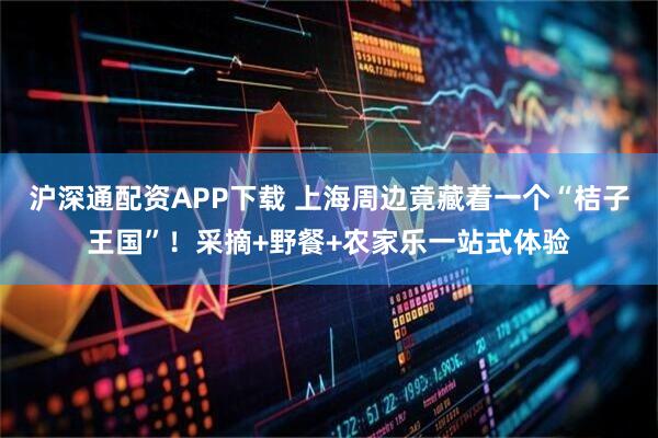 沪深通配资APP下载 上海周边竟藏着一个“桔子王国”！采摘+野餐+农家乐一站式体验