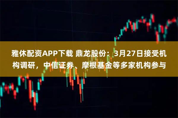 雅休配资APP下载 鼎龙股份：3月27日接受机构调研，中信证券、摩根基金等多家机构参与